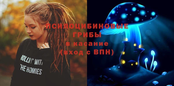 индика Вязники