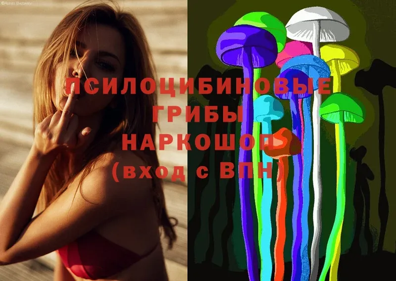 Псилоцибиновые грибы Psilocybe  Бугульма 