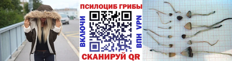Псилоцибиновые грибы прущие грибы Бугульма