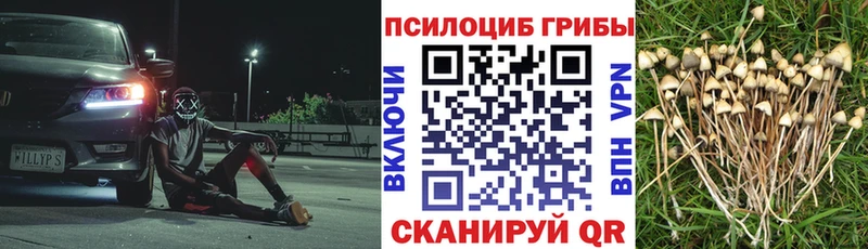 Псилоцибиновые грибы прущие грибы  купить наркотик  Бугульма 