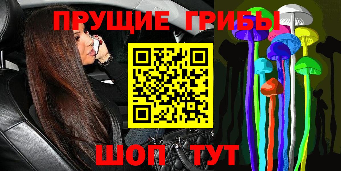 Псилоцибиновые грибы прущие грибы  Бугульма  магазин  наркотиков  Галлюциногенные грибы мухоморы 