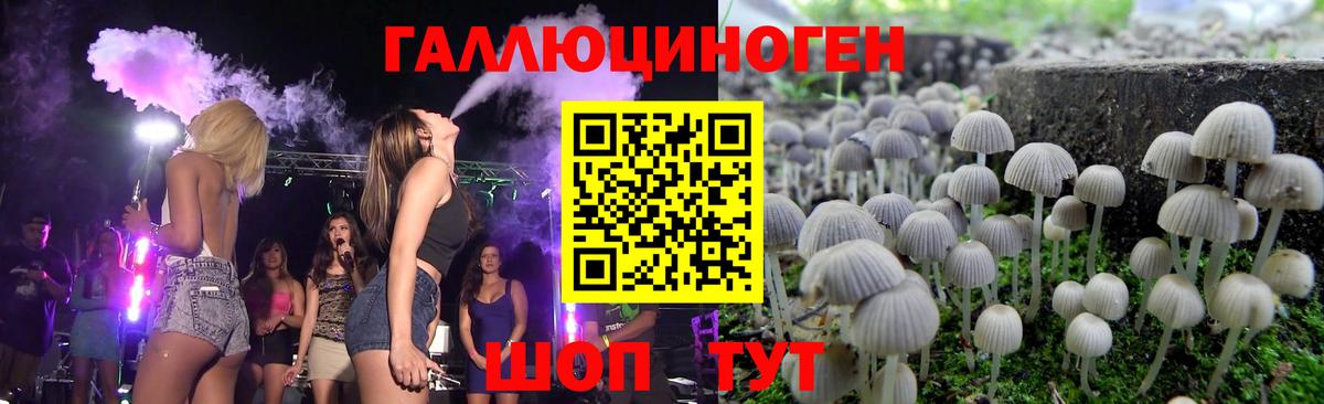 Галлюциногенные грибы ЛСД Бугульма